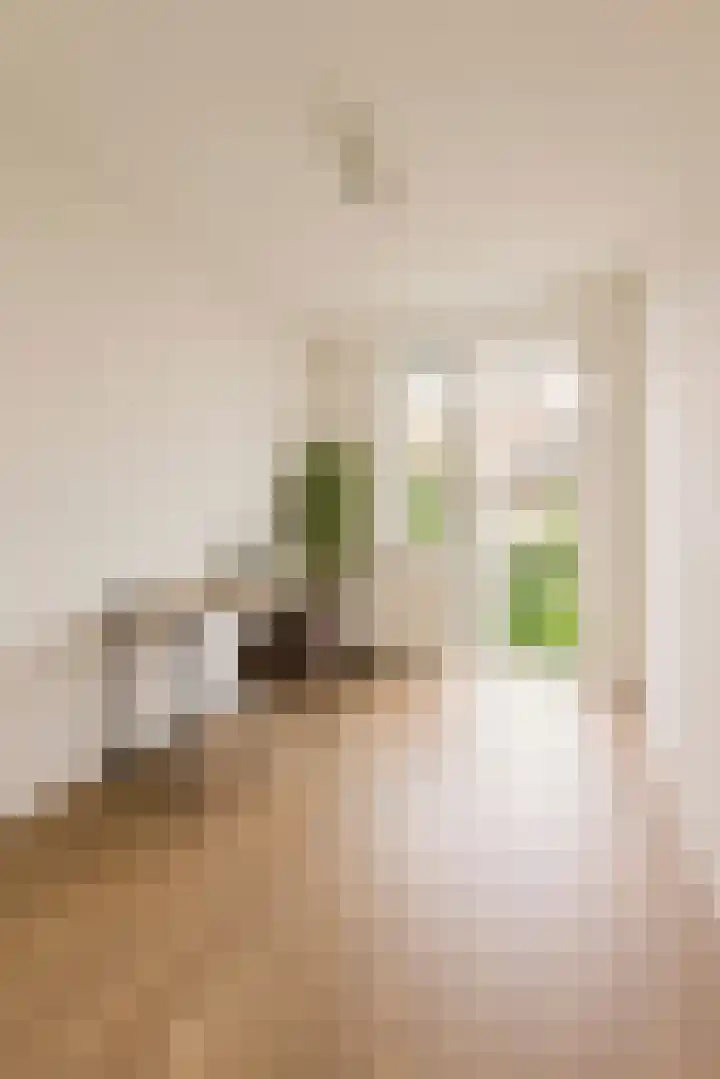 Woestduinstraat 21 2 Amsterdam thumbnail 14