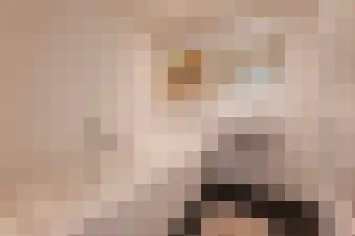 Woestduinstraat 21 2 Amsterdam thumbnail 15