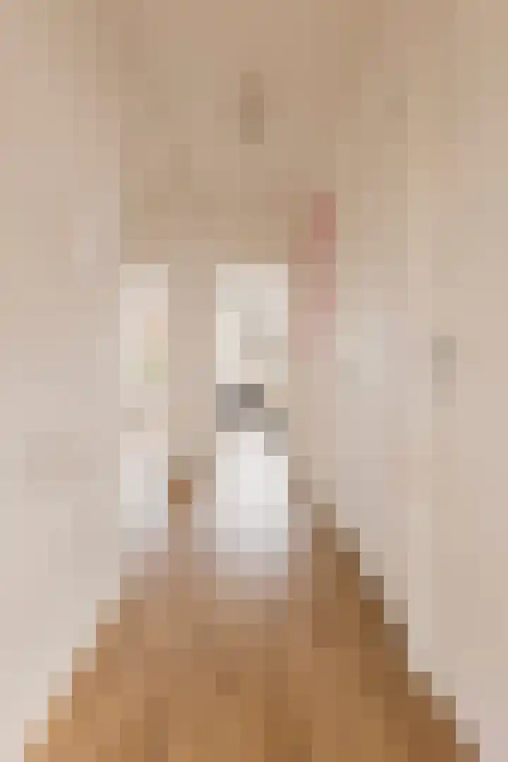 Woestduinstraat 21 2 Amsterdam thumbnail 16