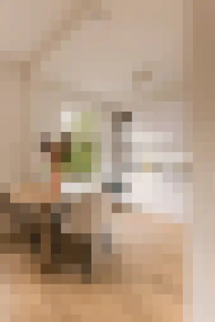 Woestduinstraat 21 2 Amsterdam thumbnail 17