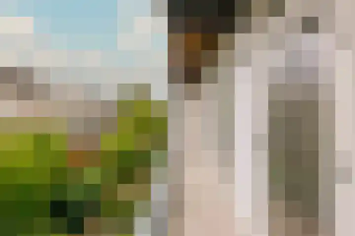 Woestduinstraat 21 2 Amsterdam thumbnail 18