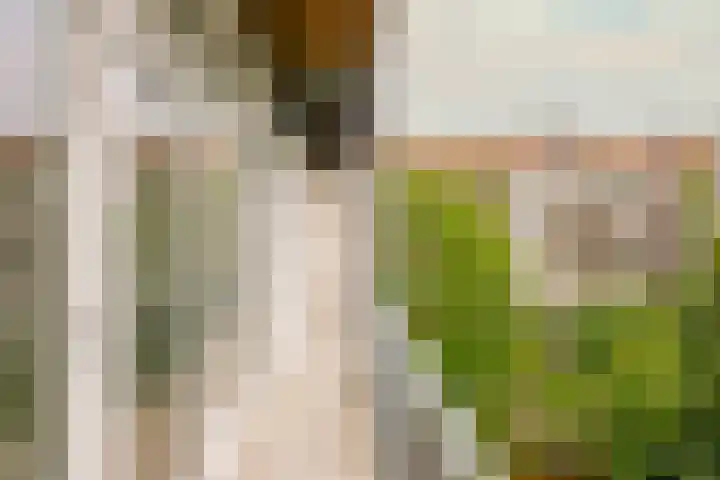 Woestduinstraat 21 2 Amsterdam thumbnail 19