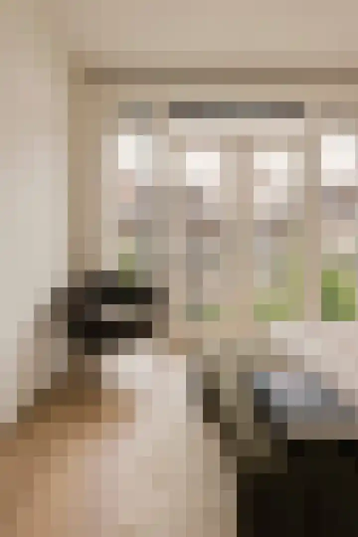Woestduinstraat 21 2 Amsterdam thumbnail 20