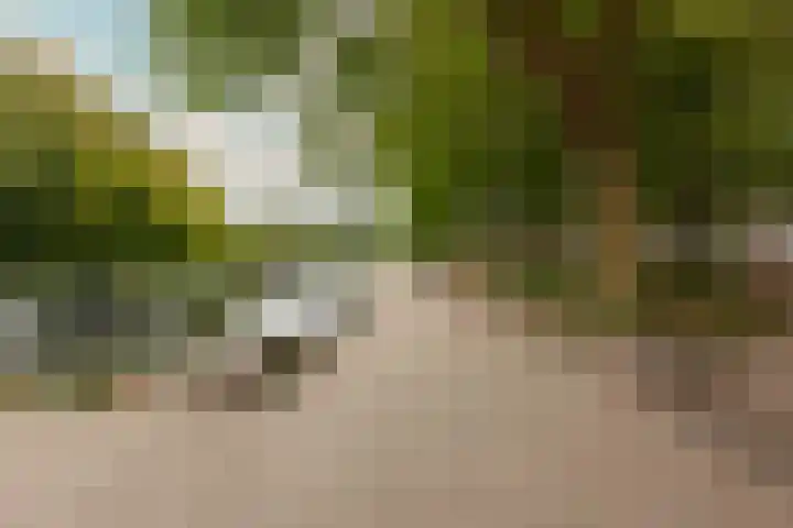 Woestduinstraat 21 2 Amsterdam thumbnail 23