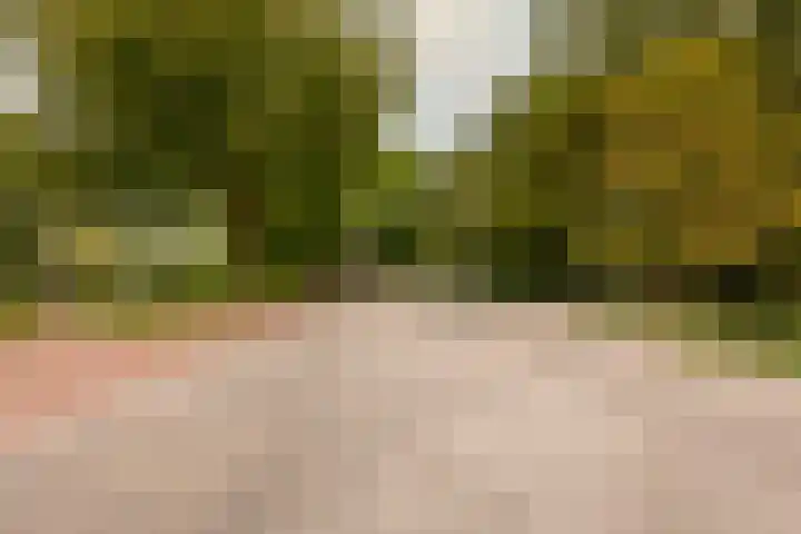 Woestduinstraat 21 2 Amsterdam thumbnail 24