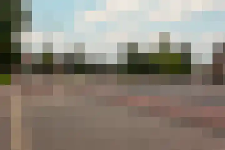 Woestduinstraat 21 2 Amsterdam thumbnail 26