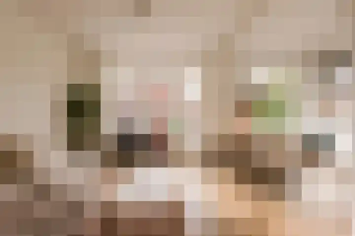 Woestduinstraat 21 2 Amsterdam thumbnail 6