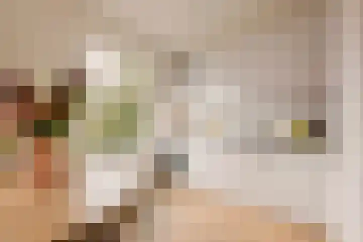 Woestduinstraat 21 2 Amsterdam thumbnail 8