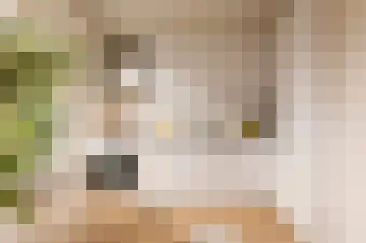 Woestduinstraat 21 2 Amsterdam thumbnail 9