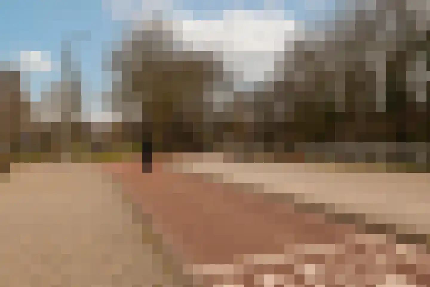 Woestduinstraat 21 3 Amsterdam thumbnail 24
