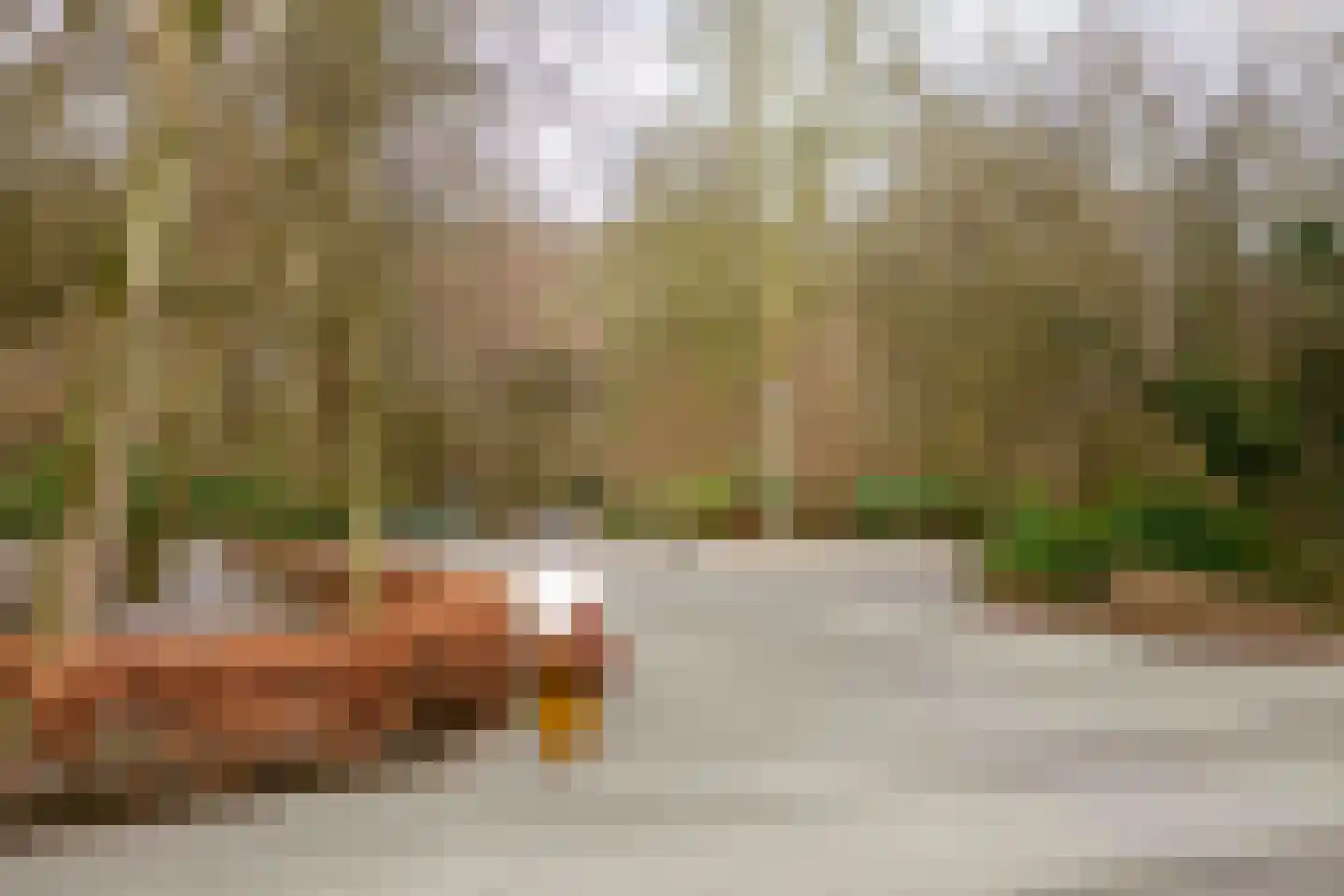 Woestduinstraat 21 3 Amsterdam thumbnail 27