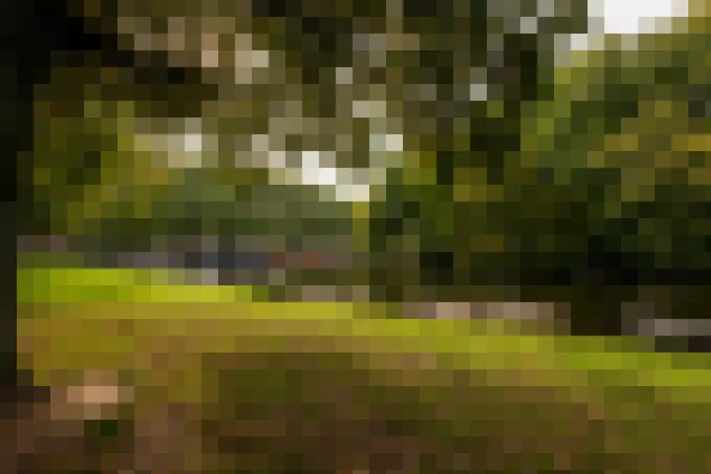 Woestduinstraat 21 3 Amsterdam thumbnail 28