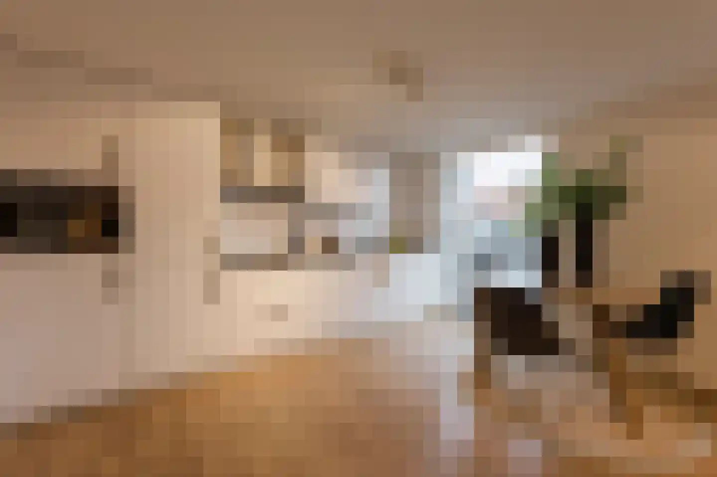 Woestduinstraat 21 3 Amsterdam thumbnail 6