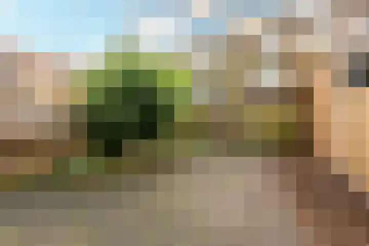 Woestduinstraat 27 1 Amsterdam thumbnail 13