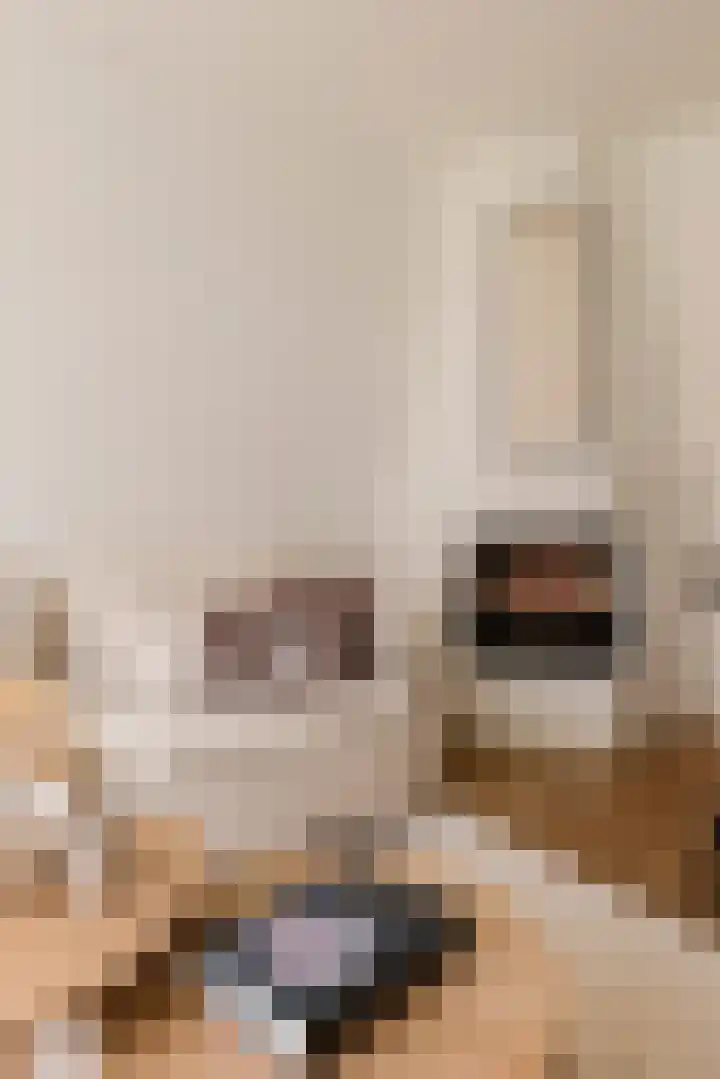 Woestduinstraat 27 1 Amsterdam thumbnail 17