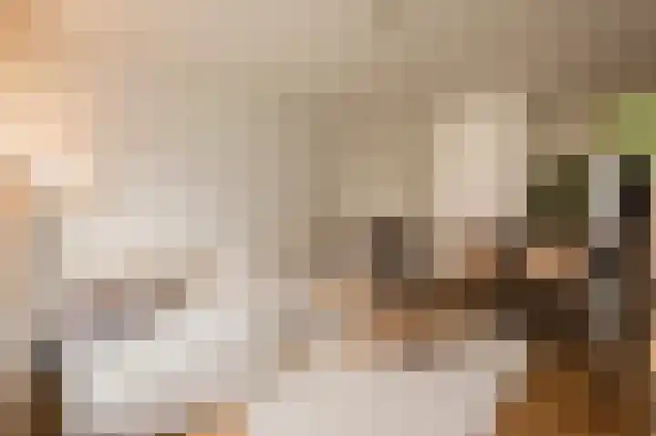 Woestduinstraat 27 1 Amsterdam thumbnail 4