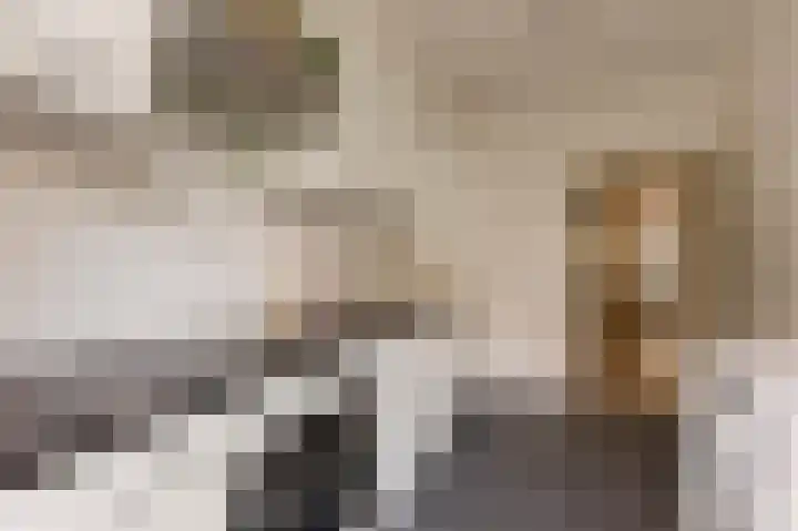 Woestduinstraat 27 1 Amsterdam thumbnail 8