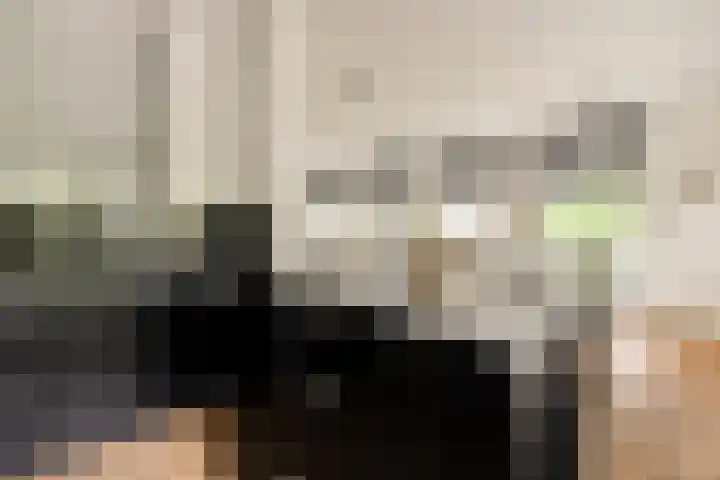 Woestduinstraat 3 2 Amsterdam thumbnail 11