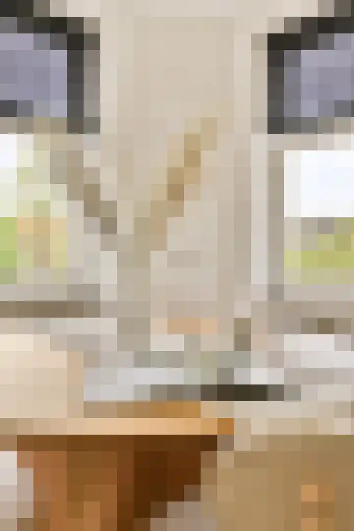 Woestduinstraat 3 2 Amsterdam thumbnail 12