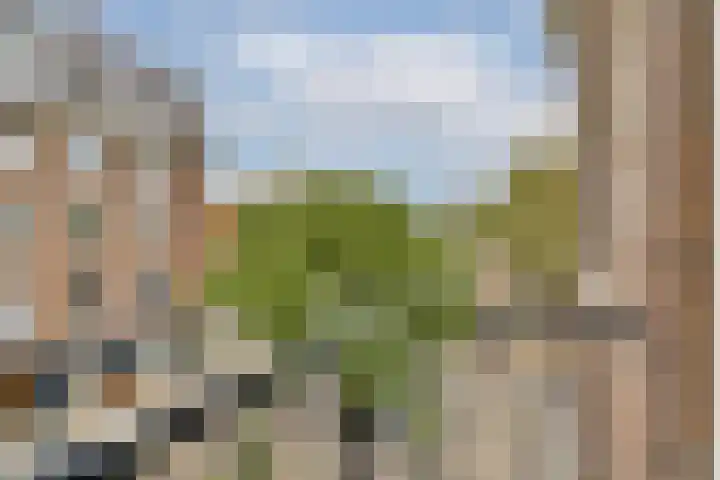 Woestduinstraat 3 2 Amsterdam thumbnail 17