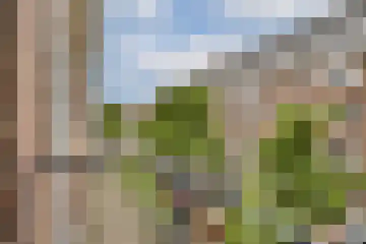 Woestduinstraat 3 2 Amsterdam thumbnail 18