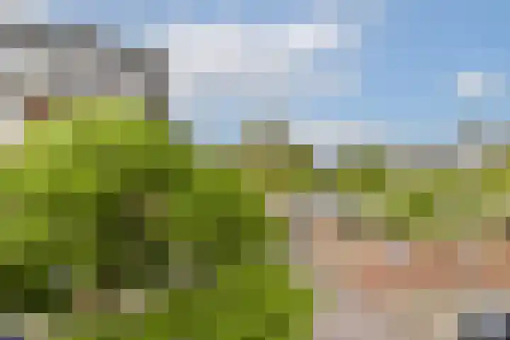 Woestduinstraat 3 2 Amsterdam thumbnail 24