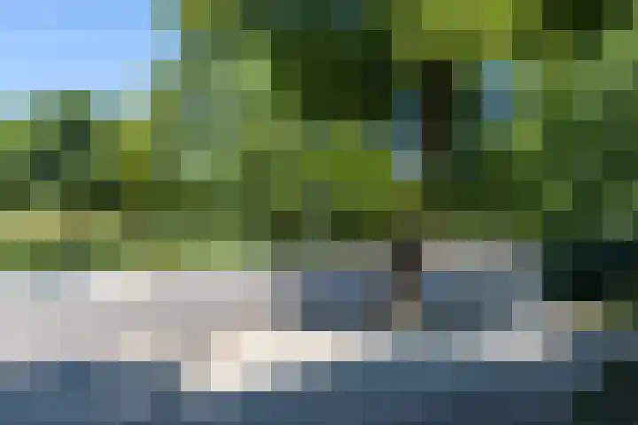 Woestduinstraat 3 2 Amsterdam thumbnail 27