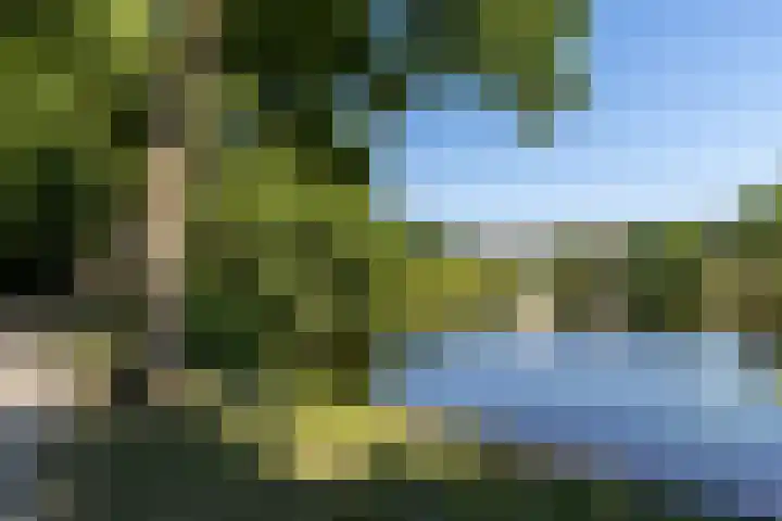 Woestduinstraat 3 2 Amsterdam thumbnail 28