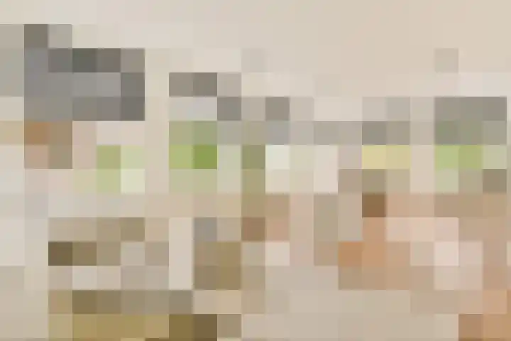 Woestduinstraat 3 2 Amsterdam thumbnail 31