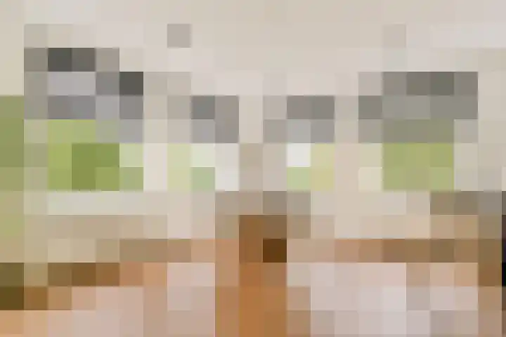 Woestduinstraat 3 2 Amsterdam thumbnail 4