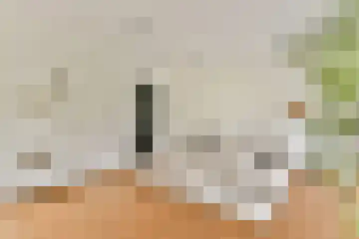 Woestduinstraat 3 2 Amsterdam thumbnail 5
