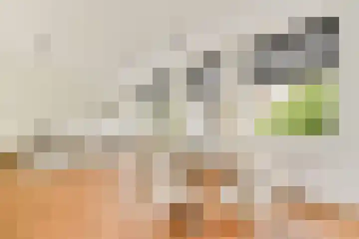 Woestduinstraat 3 2 Amsterdam thumbnail 6