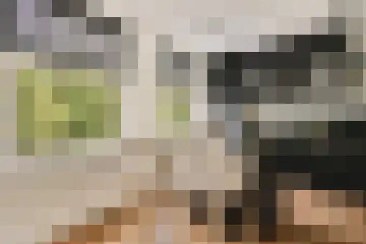 Woestduinstraat 3 2 Amsterdam thumbnail 8