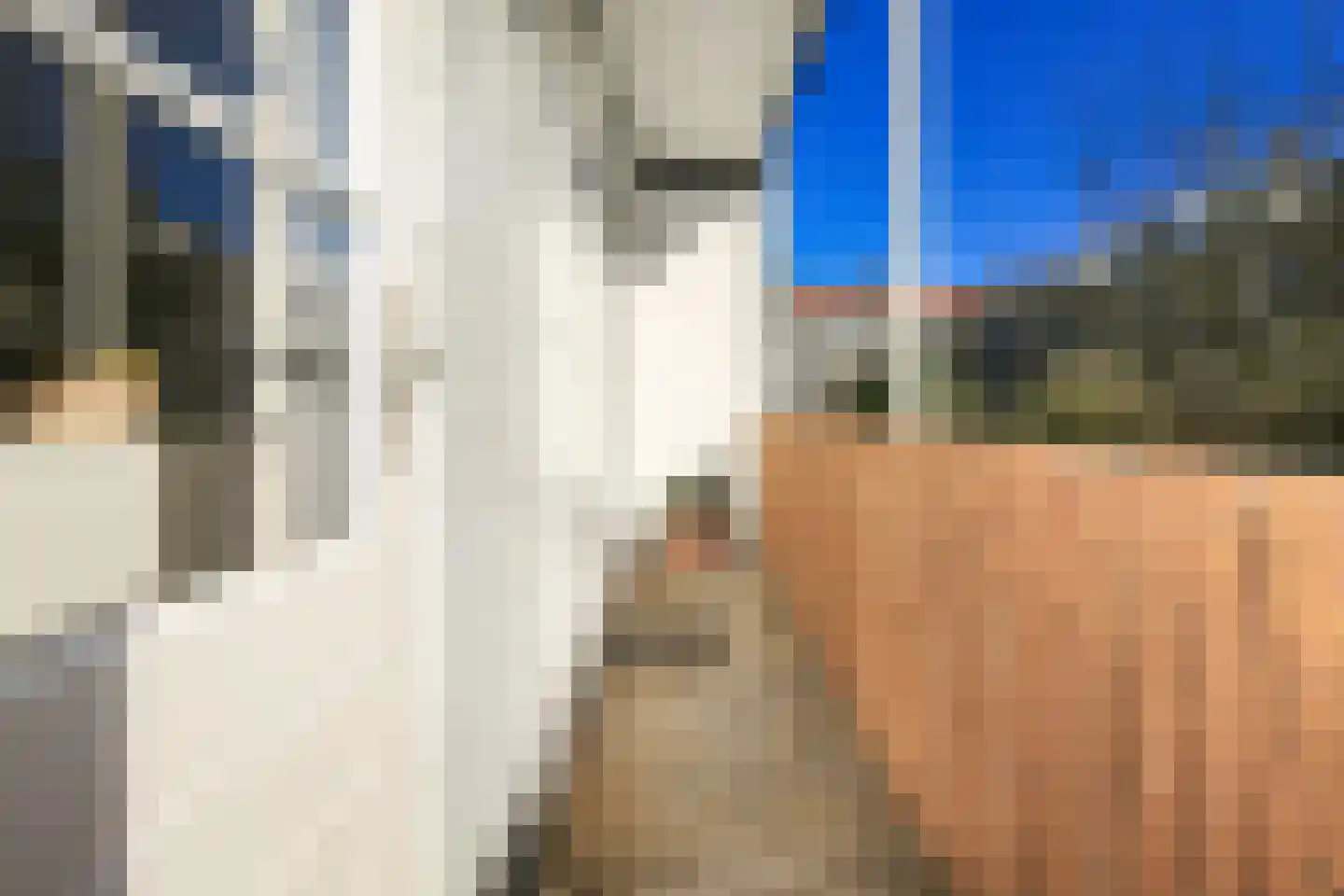 Woestduinstraat 31 H Amsterdam thumbnail 12