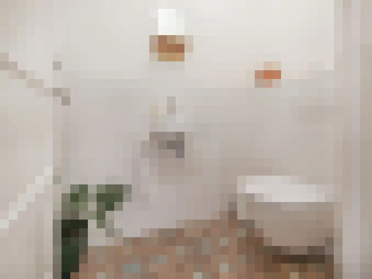 Woestduinstraat 31 H Amsterdam thumbnail 20