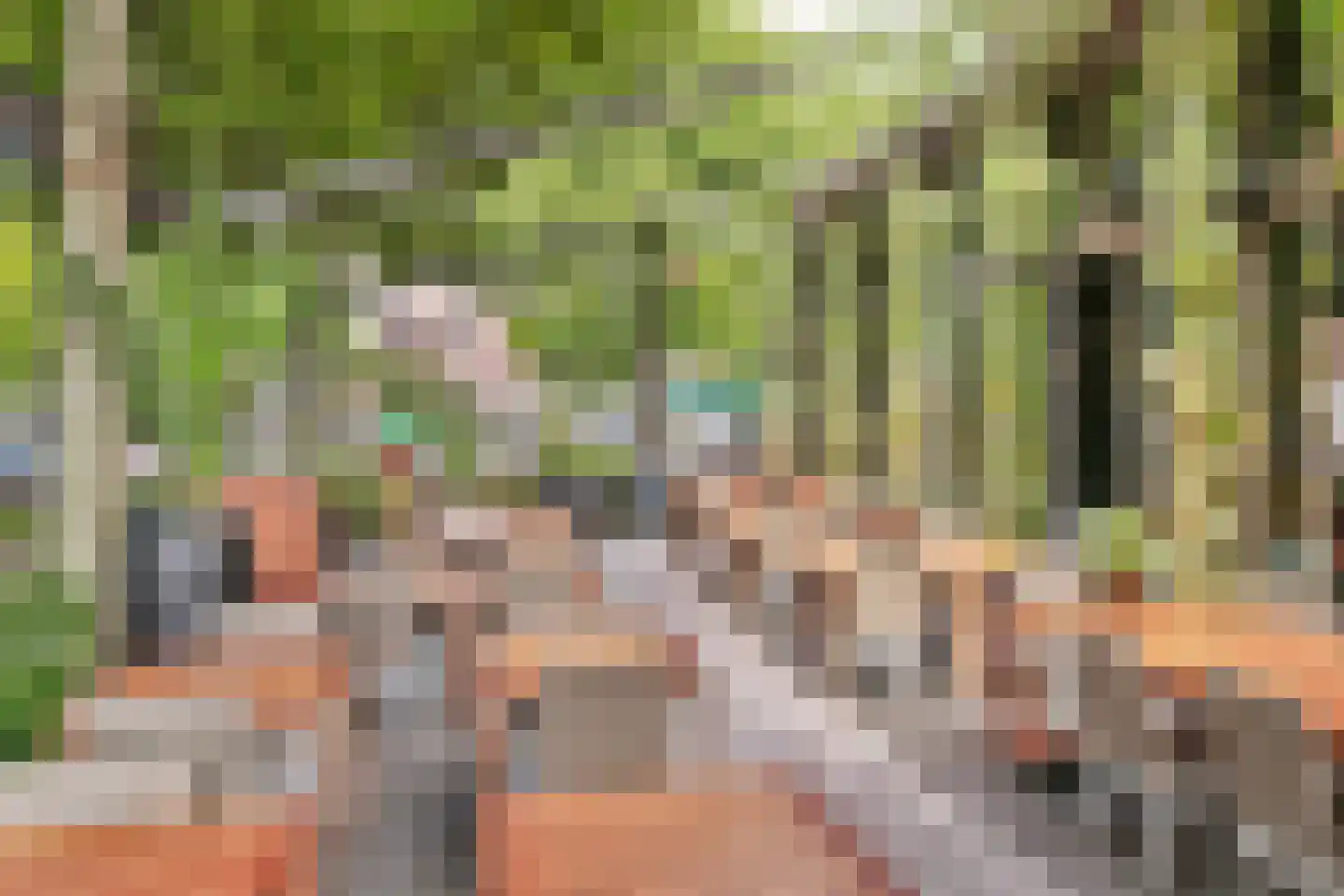 Woestduinstraat 31 H Amsterdam thumbnail 50