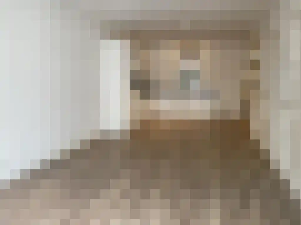 Woestduinstraat 33 Amsterdam thumbnail 4