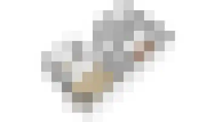 Woestduinstraat 34 1 Amsterdam thumbnail 24
