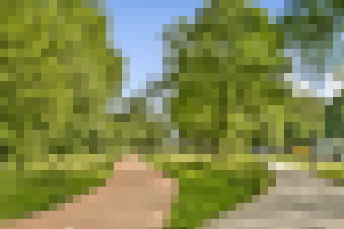 Woestduinstraat 39 H Amsterdam thumbnail 26