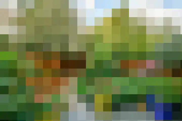 Woestduinstraat 46 1 Amsterdam thumbnail 11