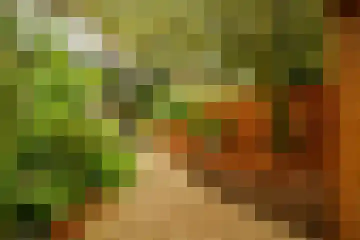 Woestduinstraat 46 1 Amsterdam thumbnail 12