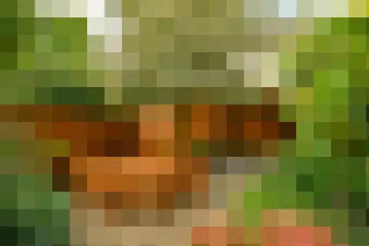 Woestduinstraat 46 1 Amsterdam thumbnail 13