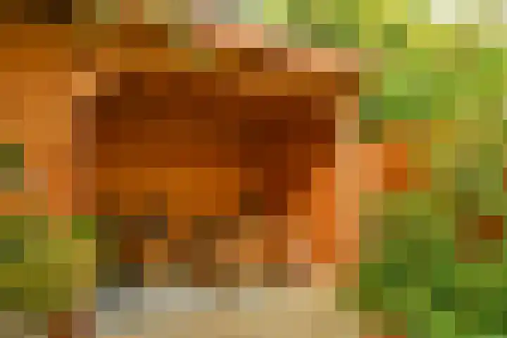 Woestduinstraat 46 1 Amsterdam thumbnail 14