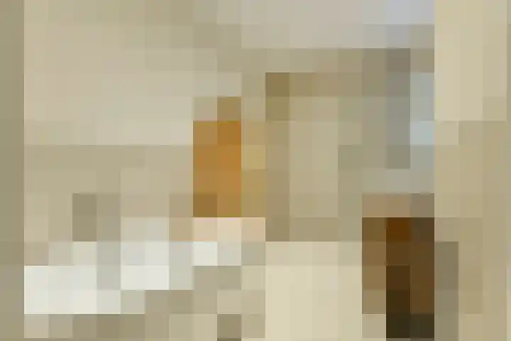 Woestduinstraat 46 1 Amsterdam thumbnail 18