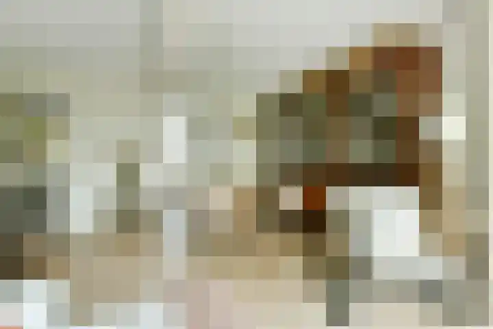 Woestduinstraat 46 1 Amsterdam thumbnail 5