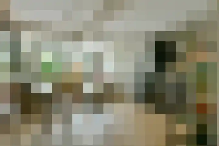 Woestduinstraat 46 1 Amsterdam thumbnail 6