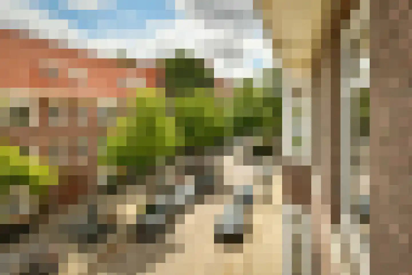 Woestduinstraat 46 2 Amsterdam thumbnail 14