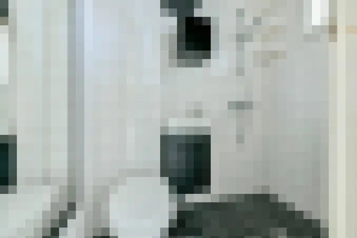 Woestduinstraat 46 2 Amsterdam thumbnail 15