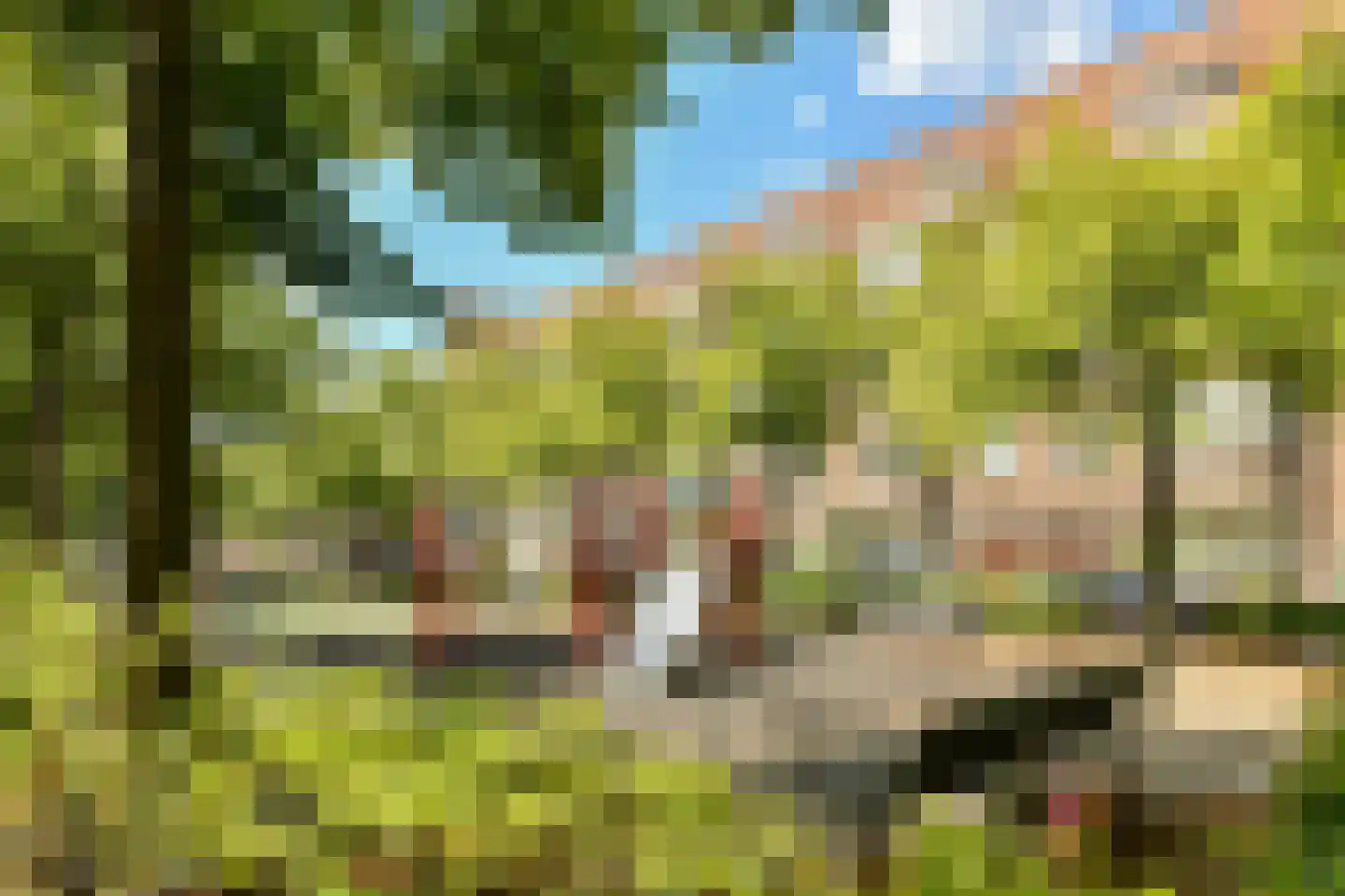 Woestduinstraat 46 2 Amsterdam thumbnail 17