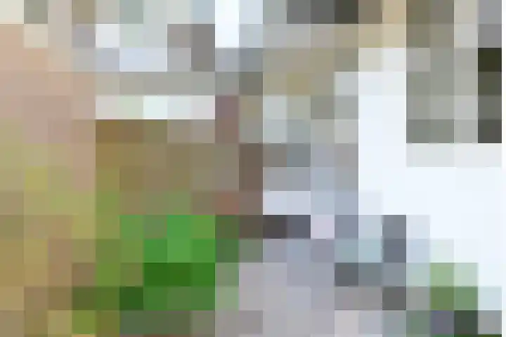 Woestduinstraat 57 1 Amsterdam thumbnail 12